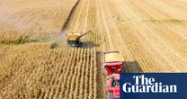 Farmers in US midwest squeezed by Trump tariffs and climate crisis