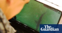 Drones are detecting more sharks at US beaches but do they make public safer?