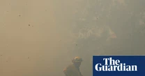 Wildfire smoke has reversed US progress toward ozone air quality, study finds