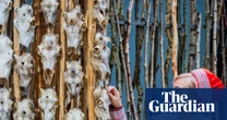 ‘Smell is a language’: Máret Ánne Sara on why Tate’s Turbine Hall whiffs of frightened reindeer