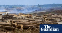 Brazil activists decry green rollbacks as senate passes ‘devastation bill’