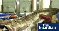 Brexit has done nothing to stem sharp decline of UK fish populations, shows study