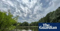 Ohio’s sole national forest could be wiped out as Trump targets land for logging