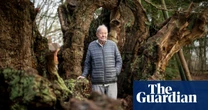 ‘The trees are trying to tell us things’: the ecologist championing our ancient forests