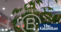 Dozens of firms risk losing B Corp status after standards overhaul