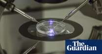 Technology for lab-grown eggs or sperm on brink of viability, UK fertility watchdog finds