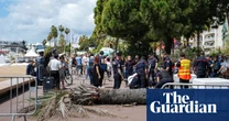 Falling palm trees and a faltering Palme d’Or director: how Cannes 2025 went – and who will win