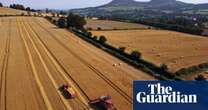 Urgent action needed to ensure UK food security, report warns