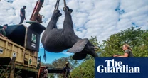 Death toll rises to seven in Malawi elephant relocation project linked to Prince Harry