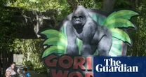 ‘True patriot’: White House pays bizarre tribute to Harambe 10 years after gorilla’s death