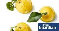 How to make lemon sorbet – recipe | Felicity Cloake's Masterclass