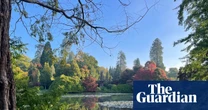 ‘Fiery and spectacular’ rainbow of autumn colour set to bloom across UK