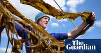 Kelp help? How Scotland’s seaweed growers are aiming to revolutionise what we buy