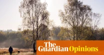 England’s planning bill has many naysayers. I'm not one of them | Nick WIlliams
