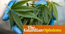 Patients keep asking if they should take cannabis for their cancer. The answer is still no | Ranjana Srivastava