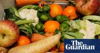 Labour backs plans for £15m fund to distribute surplus food from farms