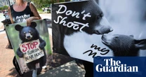 ‘Barbaric’: wildlife advocates criticize Florida bear hunt proposal