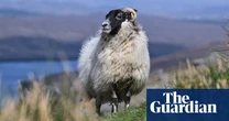 Making weaves: the resurgence in Harris tweed production – in pictures