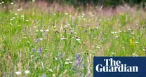 Labour cutting farming budget in England by £100m a year, figures shows