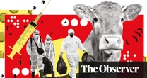 ‘The issue is when to pull the trigger’: how prepared are we for human bird flu?