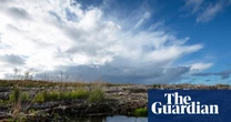 NatureScot may raise ‘more than £100m’ in private investment for conservation