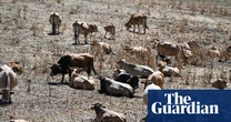 Western Europe records hottest-ever June as heatwaves intensify
