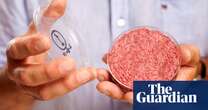 Lab-grown meat could be sold in UK in next few years, says food regulator