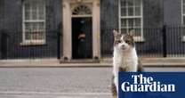 Starmer leads with compromise for new family pet – and gets ‘dog-like’ cat