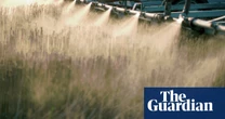 Weedkiller ingredient widely used in US can damage organs and gut bacteria, research shows