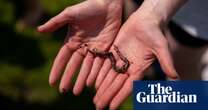 UK public invited to dance for worms to help assess soil health