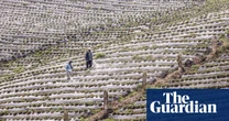 Why our broken food system remains a climate disaster: ‘broiling the planet to stuff our faces’