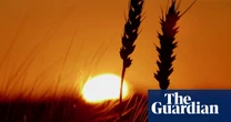 ‘Profound concern’ as scientists say extreme heat ‘now the norm’ in UK