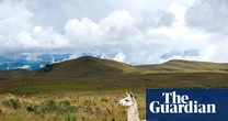 Tapirs, hummingbirds and a billion-dollar bedrock of gold: the Ecuador reserve that is now a battlefield over a new mine
