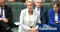 New Australian environment laws would not stop widespread deforestation, organisations say