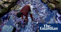Alarming levels of ‘forever chemicals’ found in water near Bangladesh garment factories