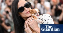You’ve heard of nepo babies, but what about nepo dogs? The rise of the Very Important Pooch