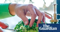 Cress to impress: the peppery, unsung hero ingredient | Kitchen aide