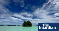 Fungi: the invisible force protecting our planet – podcast