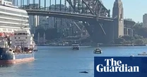 ‘Inquisitive, relaxed’ humpback whale swimming in Sydney Harbour delays ferries and boats