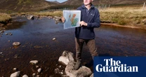 ‘They are a species on the brink’: can trees save the salmon in Scotland’s River Dee?