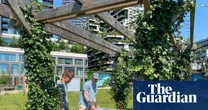 From mobile jungles to shadow art: how Dutch people try to beat the heat