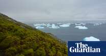 Antarctic plant cover growing at dramatic rate as climate heats