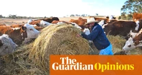 Parts of Australia are suffering another devastating drought, but you wouldn’t know it in the cities | Van Badham