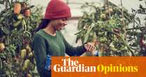 Why are Gen Zs deserting garden centres? Maybe they’re more into planting than shopping | Claire Ratinon