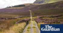 ‘A 100-year vision’: Skiddaw’s barren peak to spring to life in ambitious rewilding