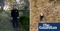 Bogong moths and the traditional owners scaling mountains to track them – video