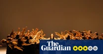 Colossus review – masses of dancers, masses of fun in a show that goes whoosh!