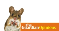 Is the world about to be overrun by trans mice? Not if congresswoman Nancy Mace has anything to do with it | Arwa Mahdawi