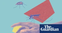 Sweat, stingers and scratching: 14 expert, easy ways to treat and prevent insect bites