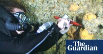Ancient sea sponges at centre of controversial claim world has already warmed by 1.7C